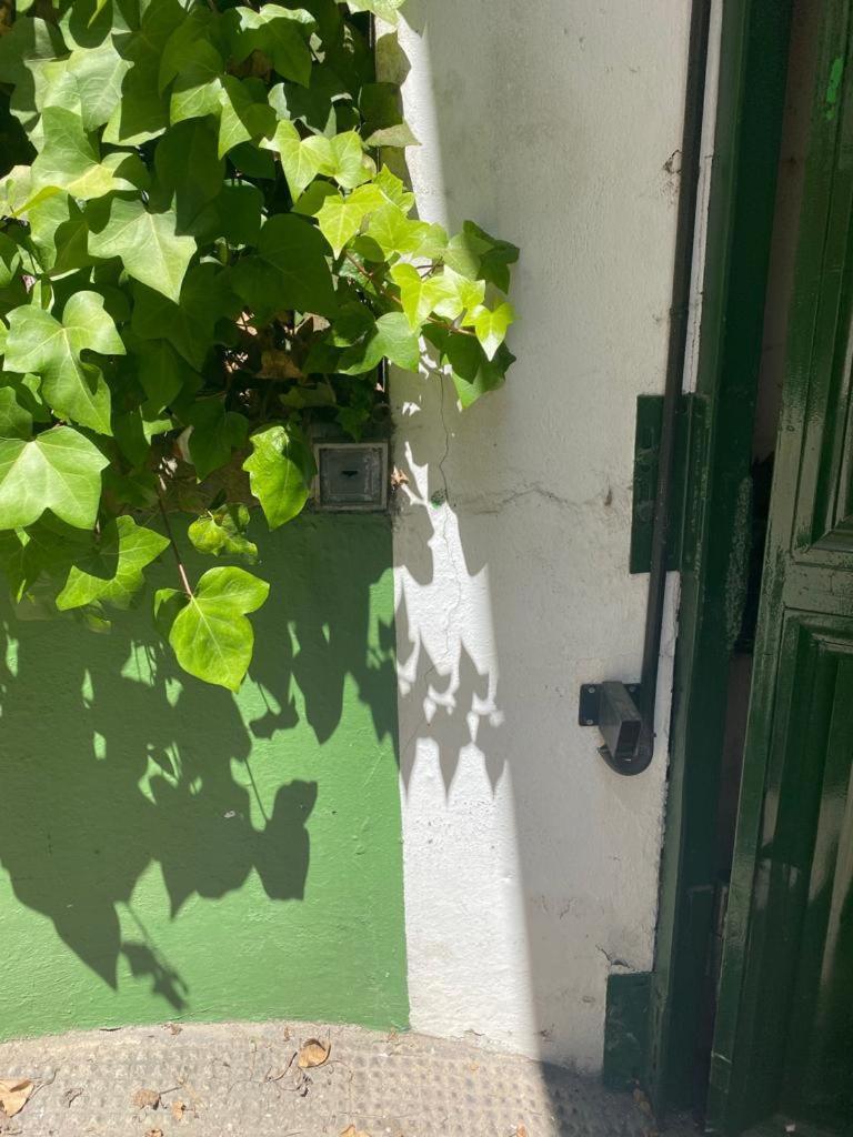 Rentalsevilla San Clemente Екстер'єр фото