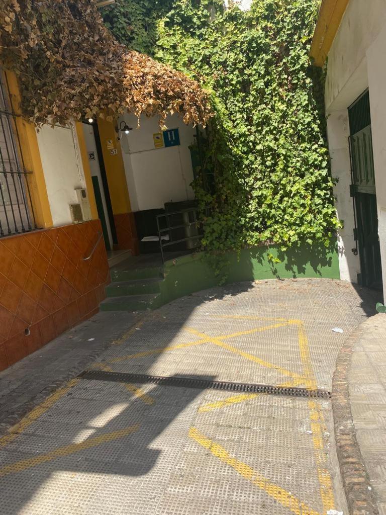 Rentalsevilla San Clemente Екстер'єр фото