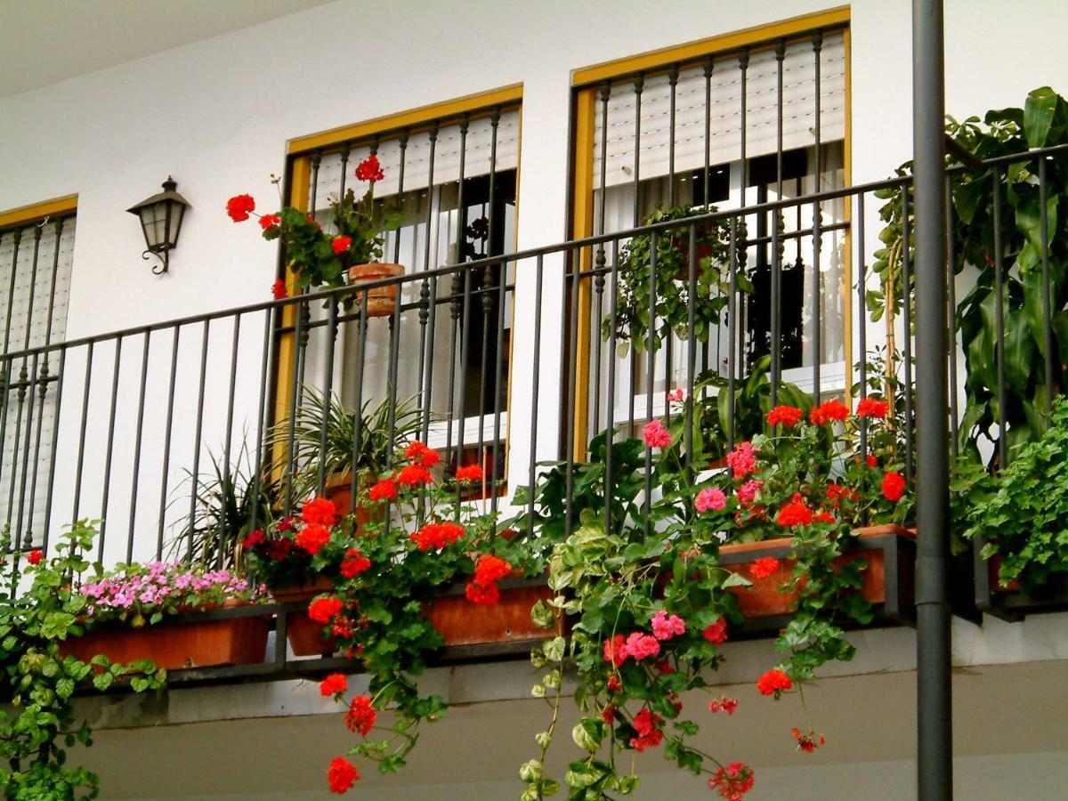 Rentalsevilla San Clemente Екстер'єр фото